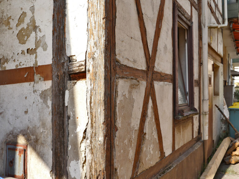 Restaurierung & Reparatur